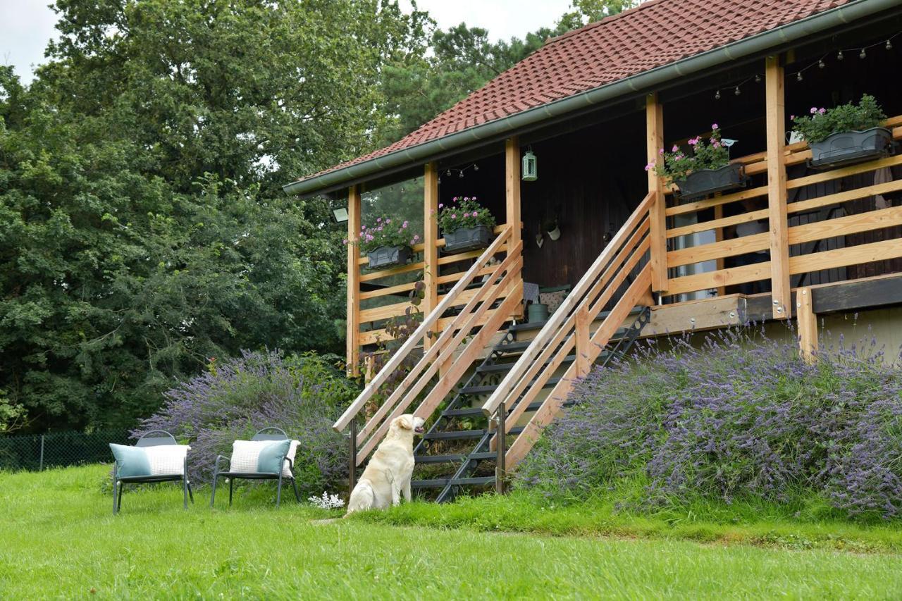 Le Chalet D'Eliot Chevigny  ภายนอก รูปภาพ